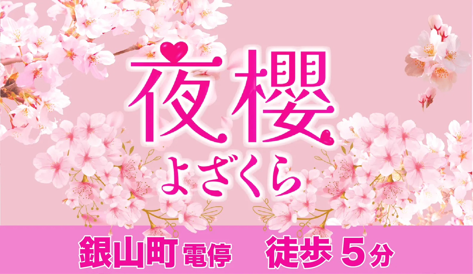 夜櫻(よざくら)